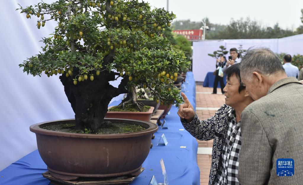 百富白菜网