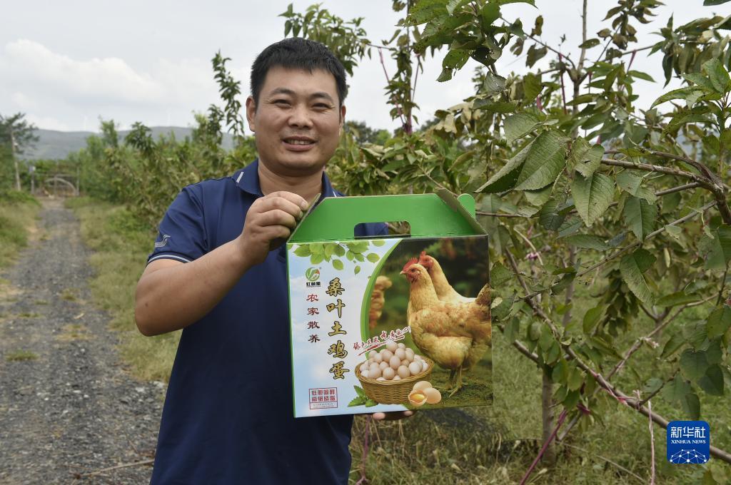 5d捕鱼娱乐
